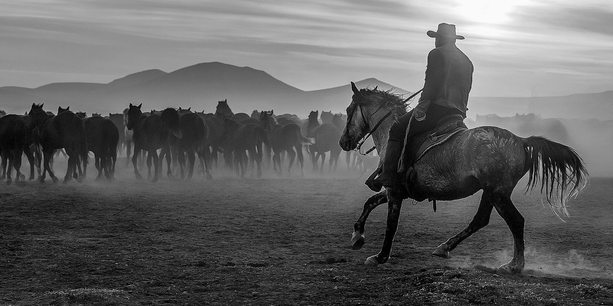 Zwart-wit footer image met historisch beeld van paardenkracht